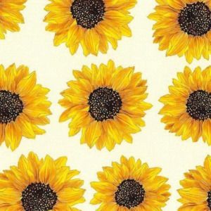 Meet your Posher, Joanne